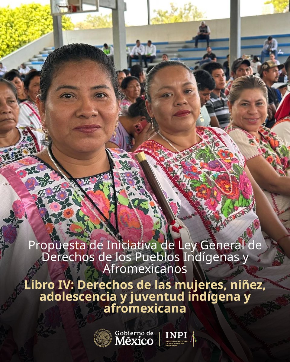 INPImx's tweet photo. La Propuesta de Iniciativa de Ley General de Derechos de los Pueblos Indígenas y Afromexicanos incorpora un enfoque de igualdad sustantiva para garantizar el pleno ejercicio de los derechos de las mujeres, la niñez, las adolescencias y las juventudes indígenas y afromexicanas.

El Libro IV: Derechos de las mujeres, niñez, adolescencia y juventud indígena y afromexicana garantiza sus derechos específicos mediante un conjunto de acciones afirmativas y reparatorias para avanzar hacia la igualdad sustantiva, la no discriminación y el pleno ejercicio de sus derechos.

📖 Consulta la Propuesta de Iniciativa de Ley: https://t.co/5j8vibRfk7