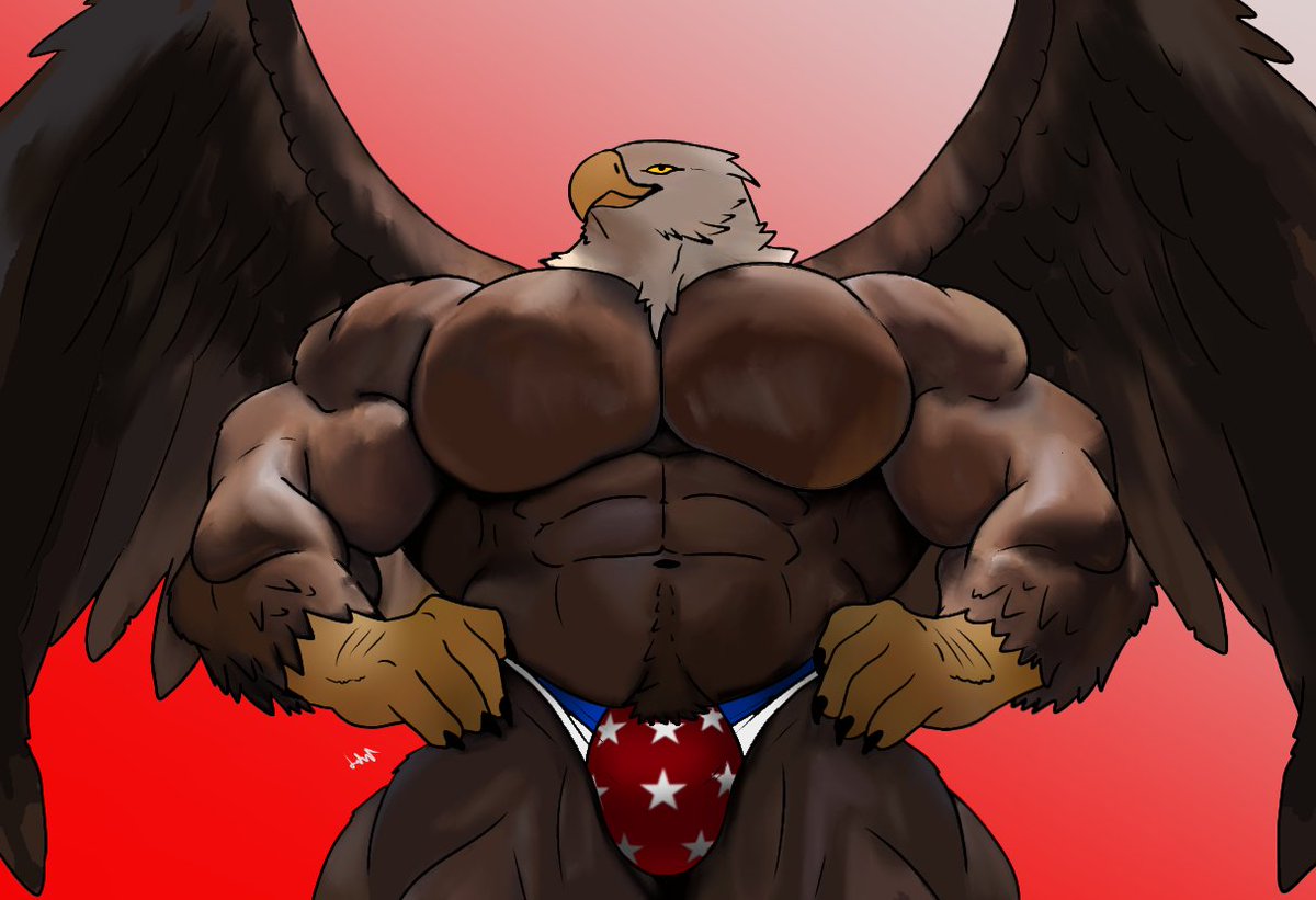 -TRIUMPH- tweet media