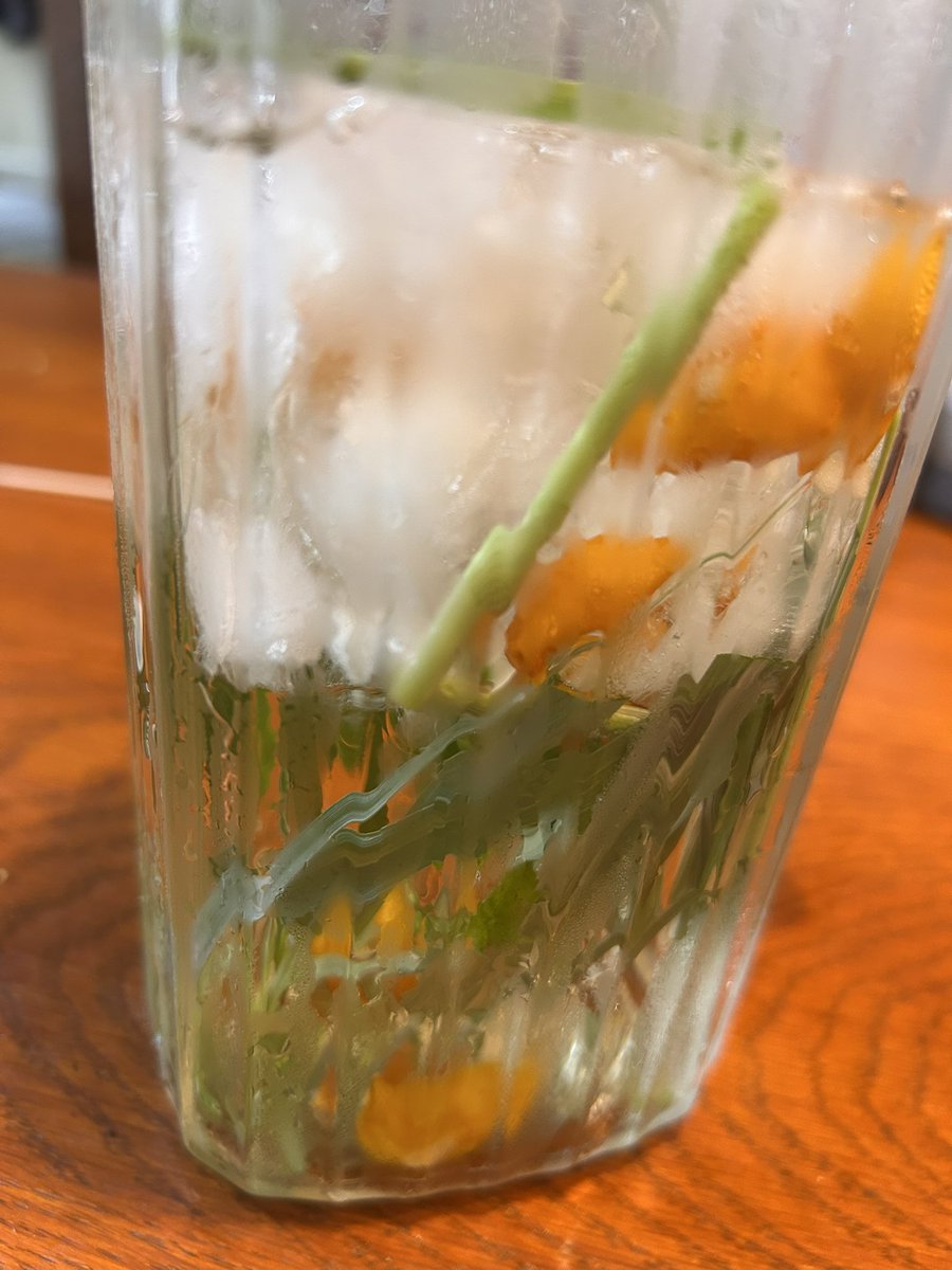 zarikoben's tweet photo. 暑さ対策で水分補給
レモングラス、ミント、梅シロップ、ドライ金柑など、家で育てたものをなんでも詰め込みます

卵焼きと鰤照りのお弁当 https://t.co/YiQzvjOS7T