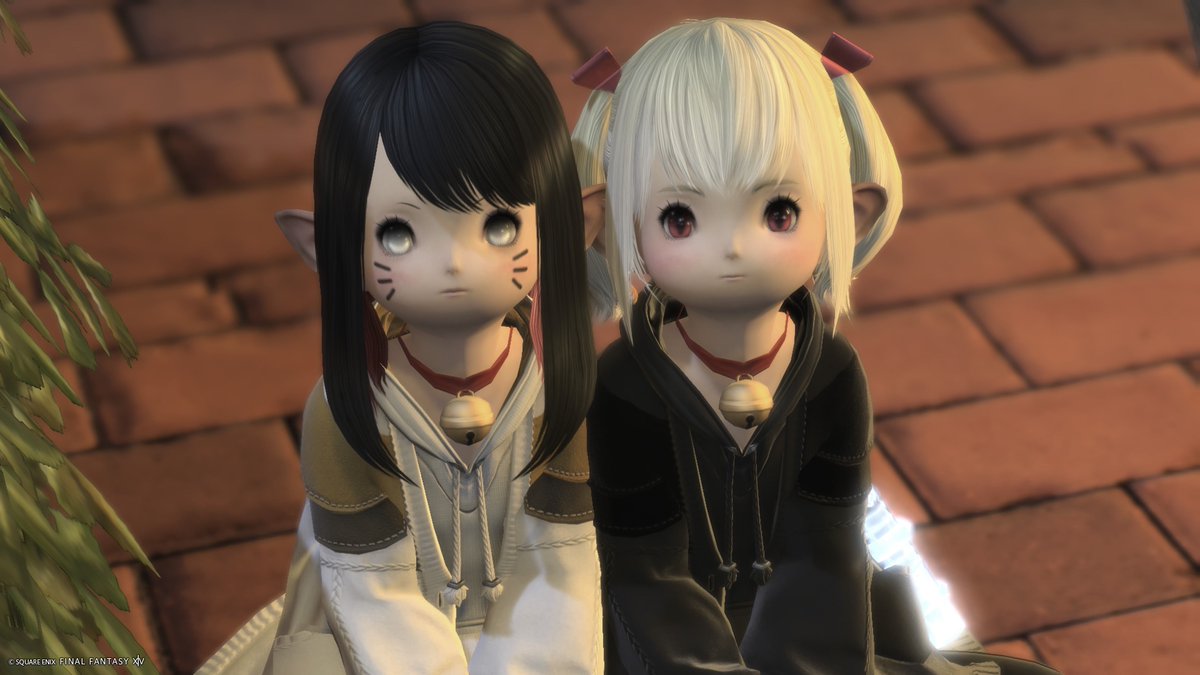 uwwvy_'s tweet photo. 最近零式の練習お手伝いしてくれてるららふぇる https://t.co/qjYUZe9xju