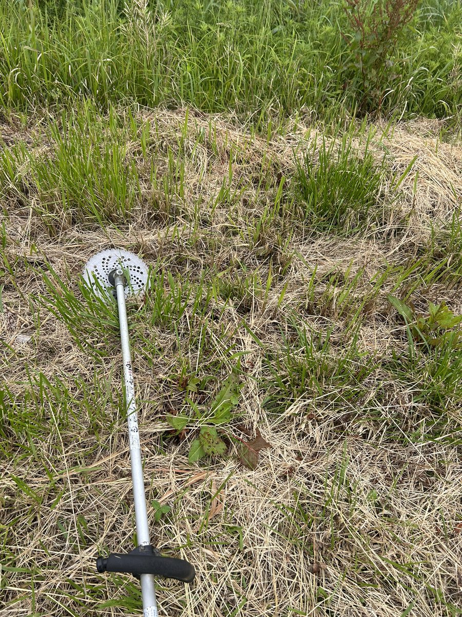 kassano0010's tweet photo. 早朝から草刈しても
二週間後にはまた伸びる🌱🌱 https://t.co/qmp7It6Arz