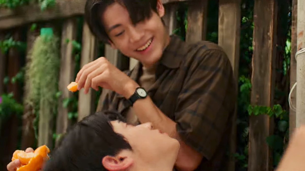 ⋆ 🍊 tweet media