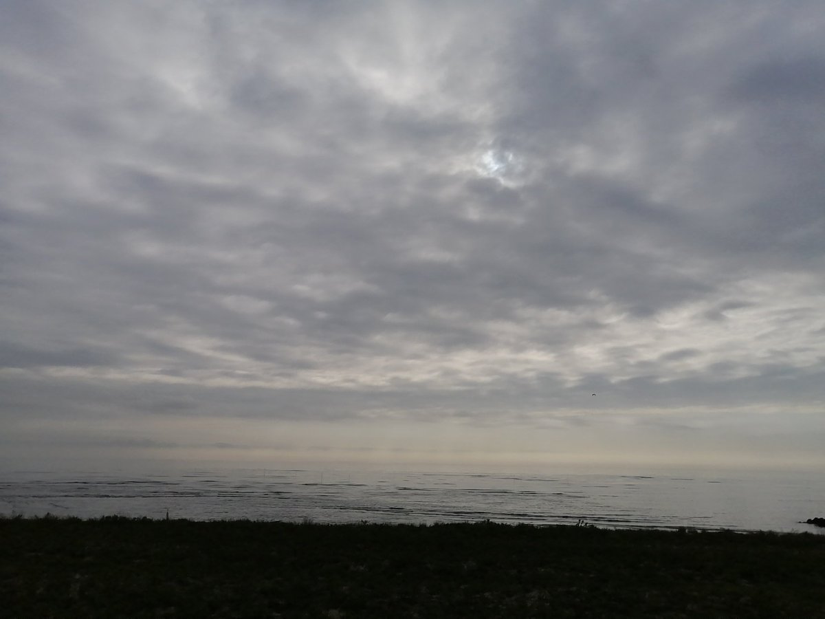 yocchel's tweet photo. おはようございます。
蒸し暑さを感じる朝です。
そろそろ熱帯夜の日が出てきそう…とテレビ📺️やラジオ📻️で予報士さん達が言ってますょ。😓
気温が高くても湿度が低ければまだイイのですが、日本はそう云うわけにもいかないからね。
今年の夏も生き延びましょう。😅 https://t.co/C6UTh7XSbW