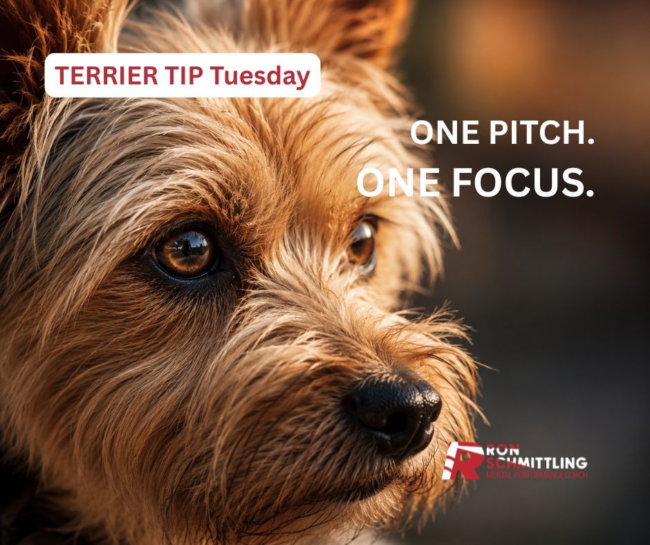coachronmpm's tweet photo. Terrier Tip: a terrier commits to one thing at a time.
So should your athlete. One pitch. One cue. Compete, then reset.
Focus is limited โ spend it in the box, not on the bench.
โฉ Grab the Playbook: https://t.co/NUemWj3eSk
#TerrierTipTuesday #MentalPerformance #CoachRonMPM https://t.co/0a3yRqlDiJ