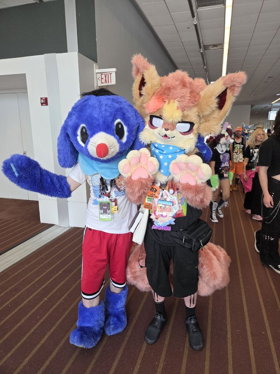 AuburnVulpix's tweet photo. https://t.co/sa4SskhdP3