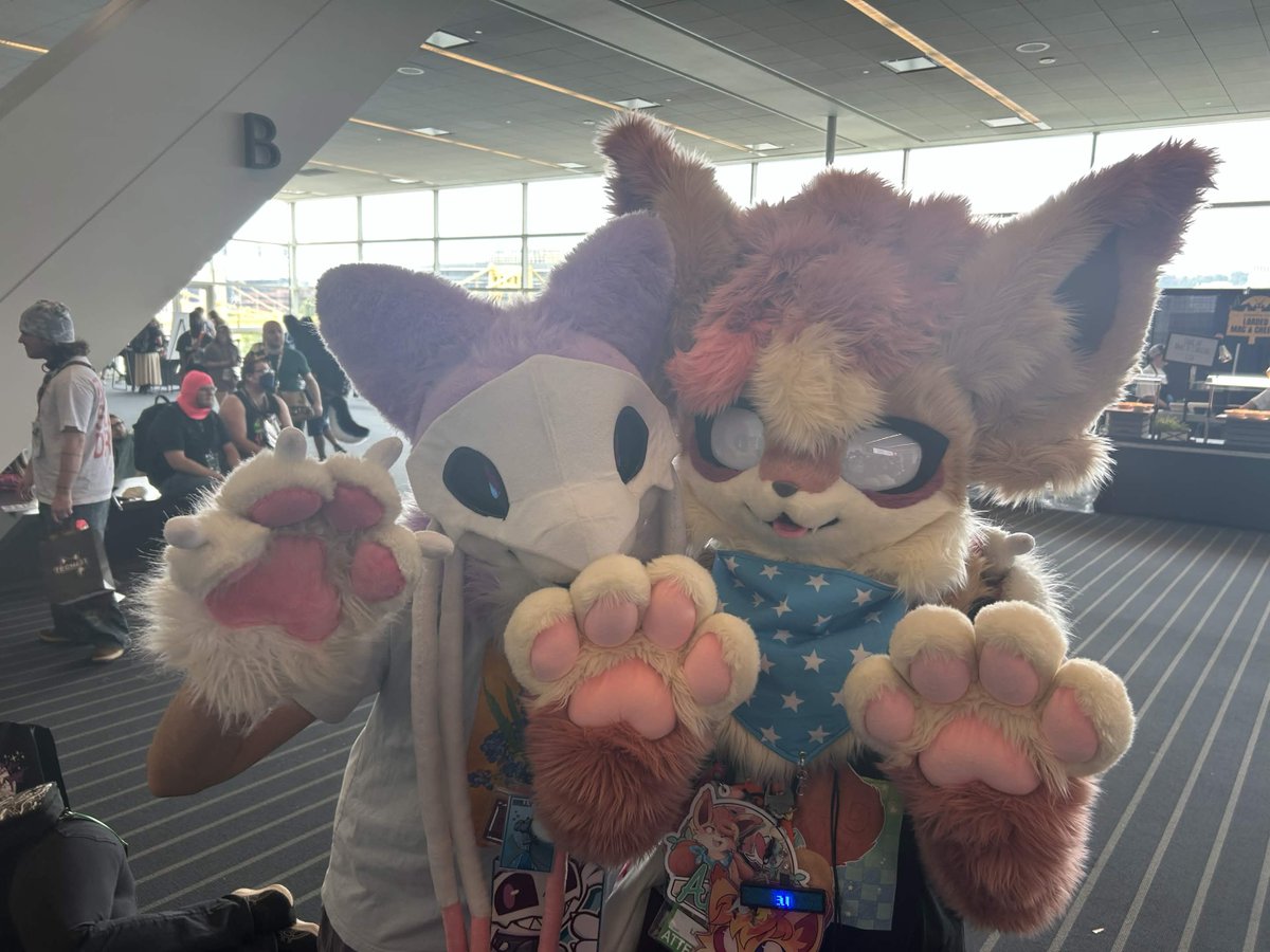 AuburnVulpix's tweet photo. Going to start posting some pictures taken of me in suit during #anthrocon this year https://t.co/QUjdLfZbMb