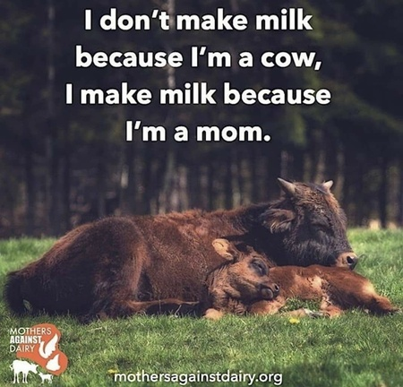 WhyNotVeganism's tweet photo. https://t.co/ogzPtOhtEc