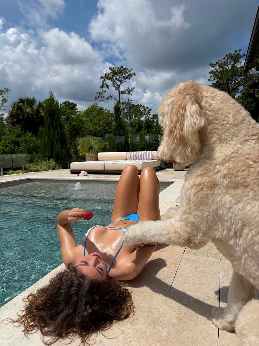 njcaio260673's tweet photo. 🐕
#janice #nichole #catalinasof https://t.co/3TuEuveEIK