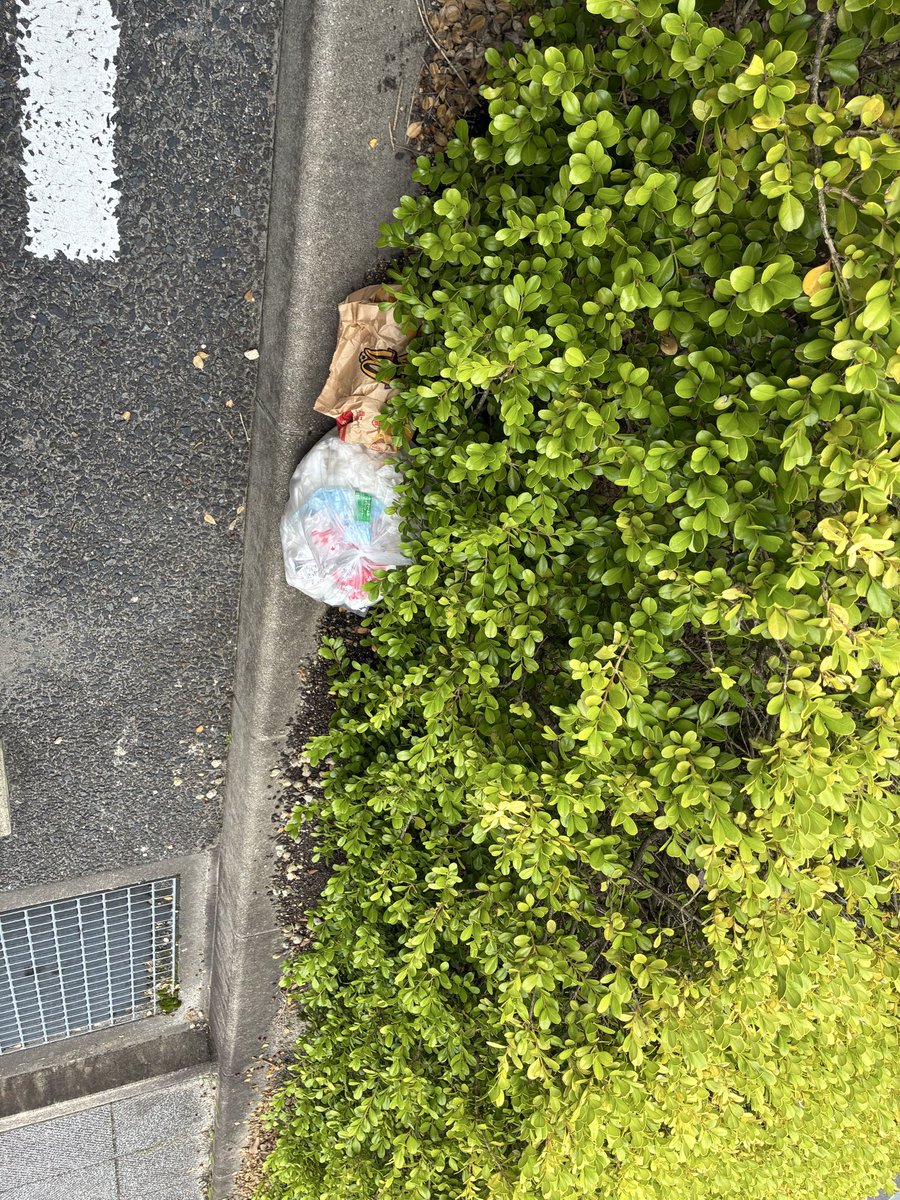 bagusu181's tweet photo. 喫茶店の駐車場
日本の民度が下がってると思う。
#ゴミ https://t.co/8LfqVupNiz