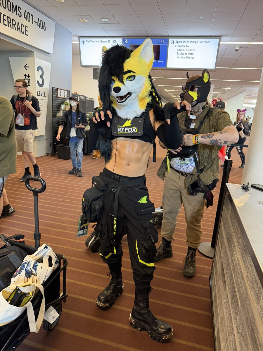 NeskoTheWusky's tweet photo. Ty for the pic at anthrocon!  @iofoxofficial https://t.co/b501N5wSu0