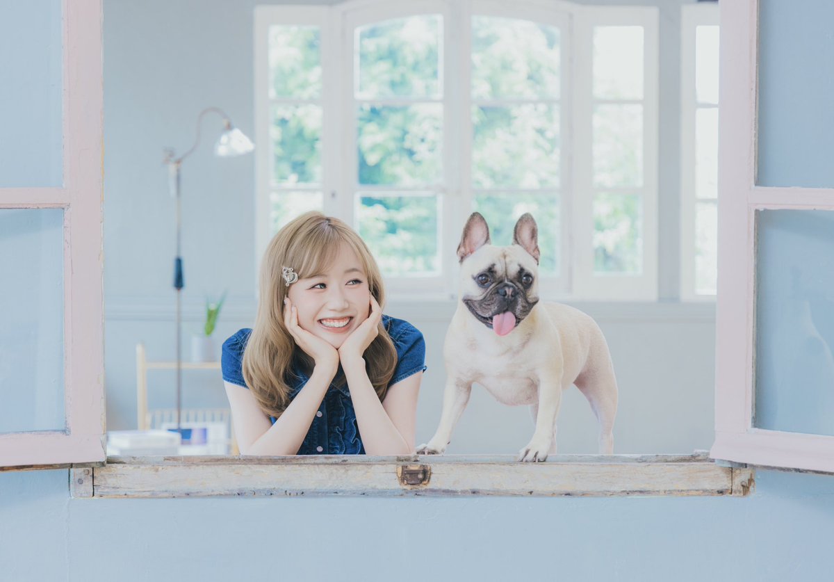 gekkan_wanko's tweet photo. 【特集】ME:IのKEIKOさんの相方を務めるのは、フレンチ・ブルドッグのちゃんこちゃん。KEIKOさんの準備中、現場にいた全員に挨拶して回る人懐っこさに、スタッフは皆メロメロ。スタジオにKEIKOさんが現れると、お人形さんのような可愛さに歓声があがり、ちゃんこちゃんも尻尾をふりふりしながらお出迎え。可愛いと可愛いの共演は、まるで絵本の一幕のようでした。かつてフレンチ・ブルドッグを飼っていたことのあるKEIKOさん。インタビューでは、亡き愛犬への想いもたっぷりと。

#ME_I #ミーアイ #KEIKO
#フレンチブルドッグ