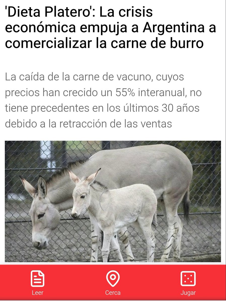 Juan Pablo Escareño. tweet media