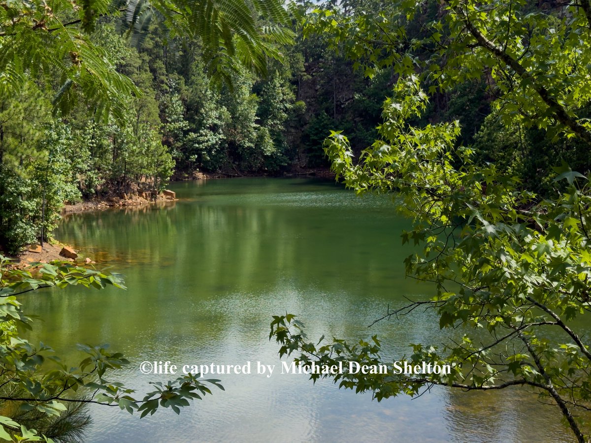 michaeldean0116's tweet photo. Find your peace by the lake's edge
Pinnacle Mountain State Park
Little Rock AR
June 27th 2026
#photography #travel #naturelovers #BigOnLittleRock #stateparks https://t.co/S5TDx9E9YS