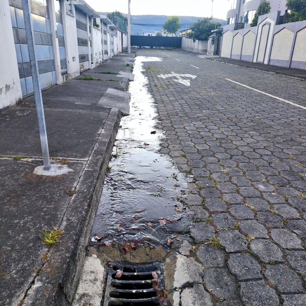 Hernan173's tweet photo. @aguadequito Estimados, tenemos una problema grave de fuga de agua en Conocoto, sector el Dean bajo, por favor si ayuda urgente, la fuga tiene más de un mes https://t.co/GooMZcBkHk