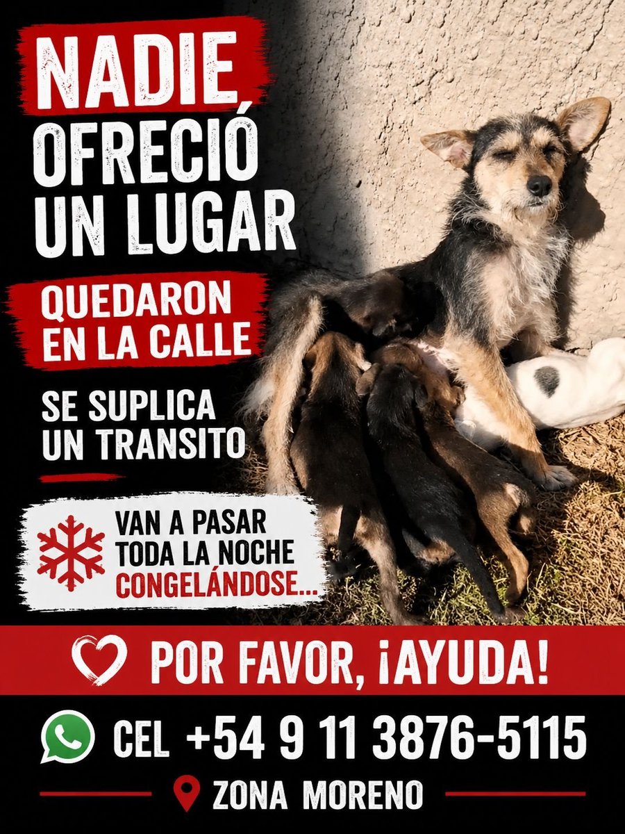 lavozdelosotros's tweet photo. MORRNO: Esta con sus chikis a la intemperie nadie ofreció un lugarcito 😥 😥 https://t.co/qRMM1XMKZR