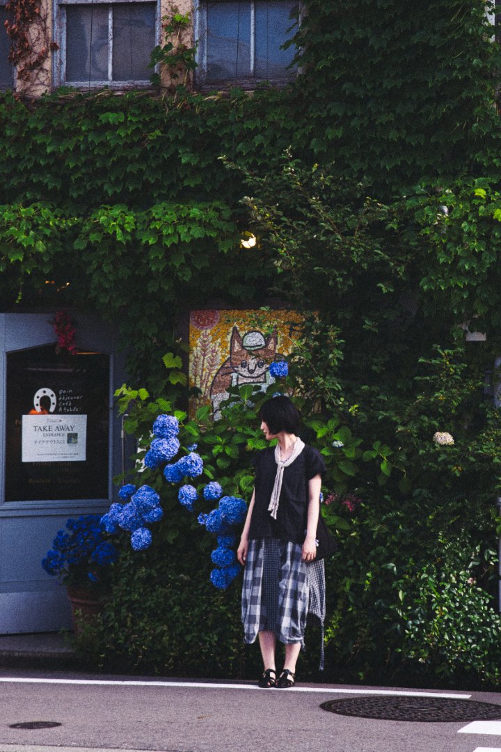 KanimenPhoto's tweet photo. She blooms in silence.
A quiet story among the hydrangeas. https://t.co/a4ezF5RduU