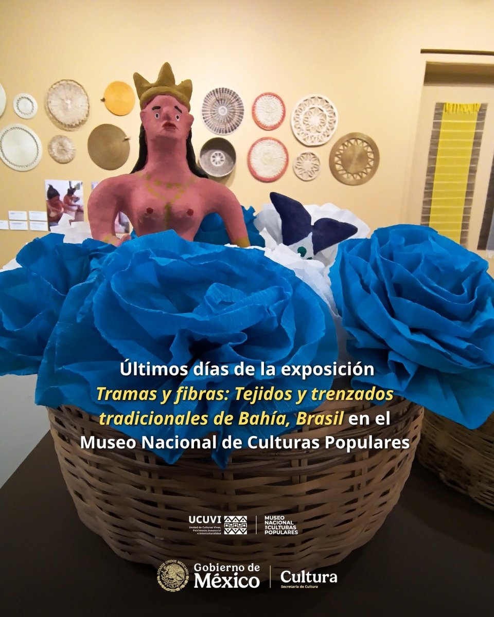 MNCP_DGCP's tweet photo. ¡Que no se te pase la exposición “Tramas y fibras: Tejidos y trenzados tradicionales de Bahía, Brasil”! 
Últimos días de esta muestra que reúne obras que provienen de 17 ciudades  de Bahía Brasil  
Museo Nacional de Culturas Populares
Av. Miguel Hidalgo 289, Del Carmen, Coyoacán https://t.co/nQK7lhJ36l