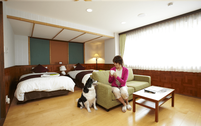 STAYWITHDOG's tweet photo. ★ペットと泊まれる宿・新着の感想☆ホテル旬香 伊勢志摩リゾート(596件)☆https://t.co/gR2r5tfA21 https://t.co/QxRL2mhcrj