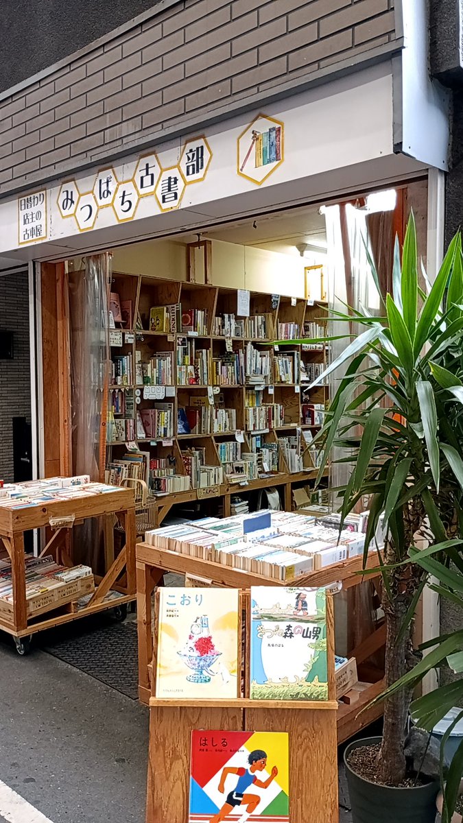 binguyochiko's tweet photo. 阿倍野文の里　
みつばち古書部
開店してます。
のんびり18時までお待ちしております。 https://t.co/IcPkFabxD5