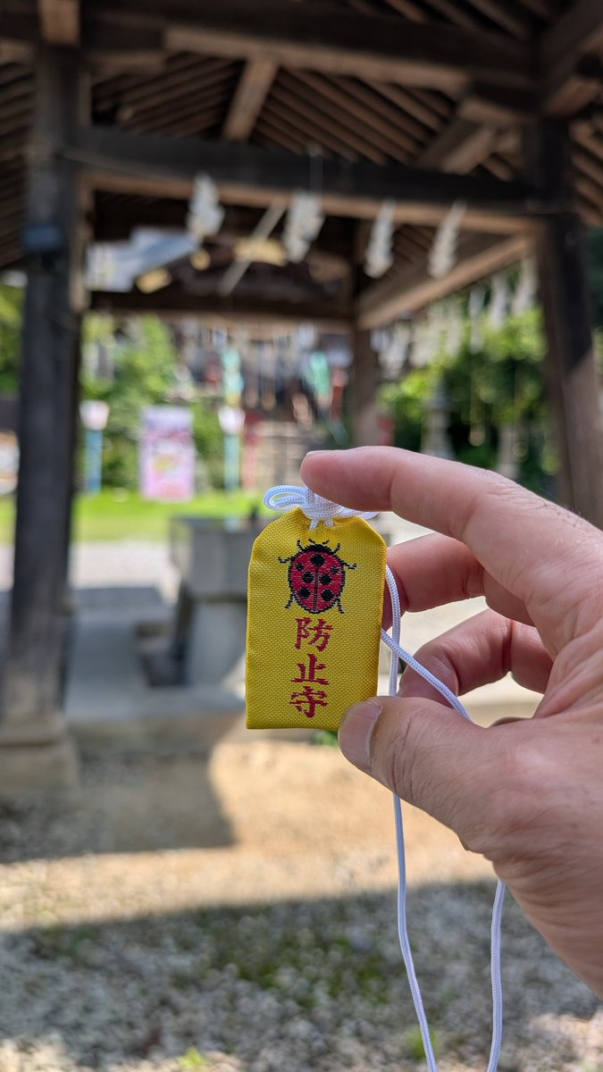 BzWHn1's tweet photo. 先日　３回目の立ちごけしたので、埼玉県の小鹿神社に来て、転倒（てんとう虫）防止お守りを買いました😄
#バイク
#XSR155
#ツーリング https://t.co/M2T0nWBcem