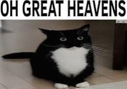 Kondor__2's tweet photo. @HazelCos You all have me to thank for such peak https://t.co/25i3cDvyyM