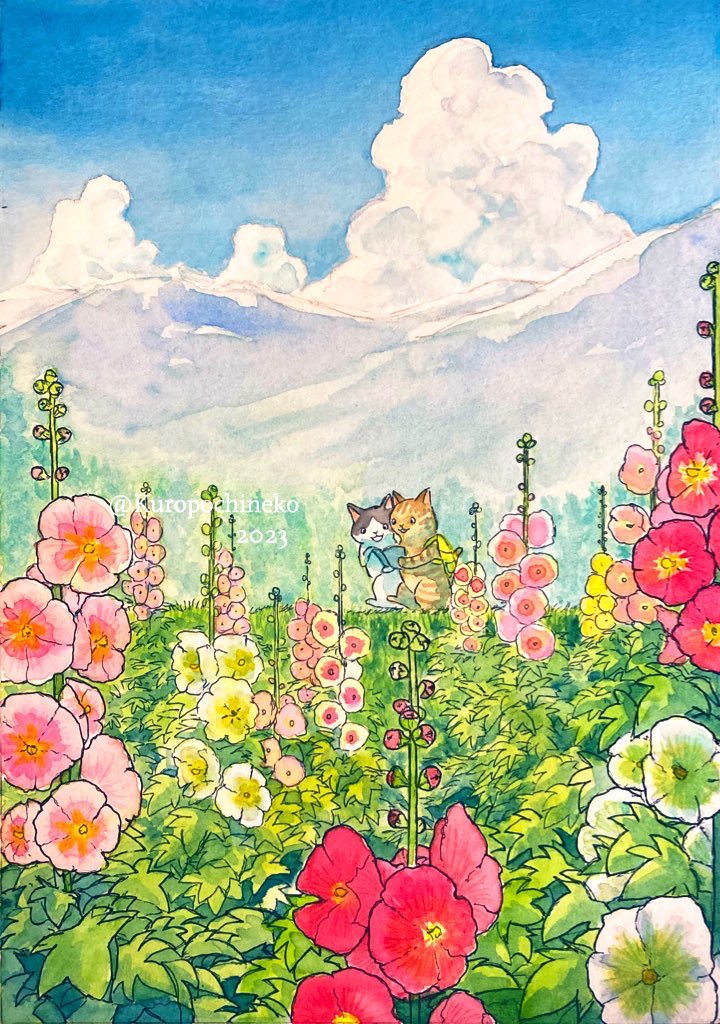 kuropochineko's tweet photo. ここのところ涼しくて本当に7月なのか疑い始めていたけれど、今朝起きたら窓の外から夏の匂いがしたよ。 https://t.co/eph3weQCGK