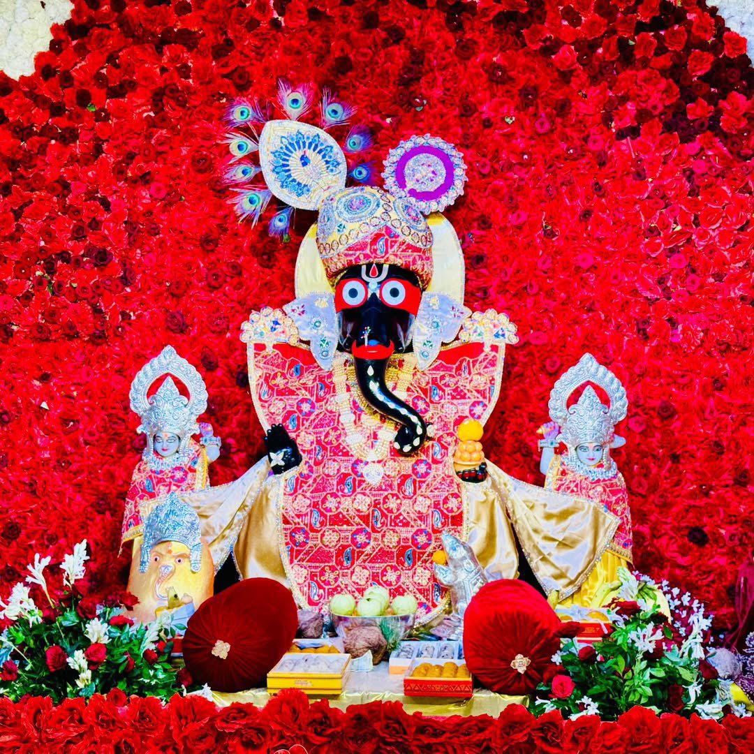 DrMohanYadav51's tweet photo. विघ्नहर्ता, मंगलकर्ता, प्रथम पूज्य भगवान श्री गणपति जी के श्रीचरणों में कोटि-कोटि प्रणाम।

जबलपुर स्थित श्री सिद्ध गणेश मंदिर में विराजमान प्रभु श्री गणेश जी की असीम कृपा, मंगलमयी आशीष एवं दिव्य अनुकंपा सभी पर सदैव बनी रहे, यही करबद्ध प्रार्थना है। https://t.co/b45JuBVndm