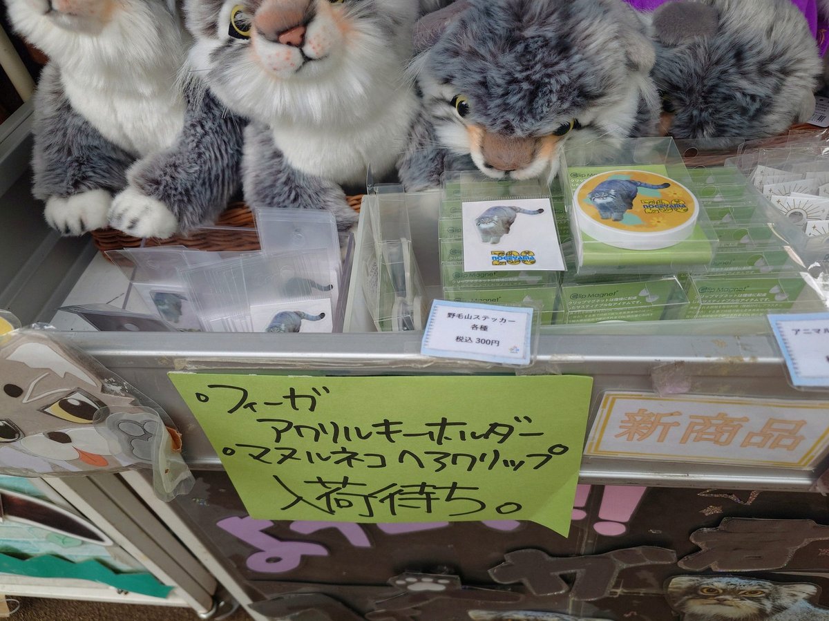 usyeci's tweet photo. かわいいコンビだなぁ☺️ https://t.co/NmAhLh5rPS