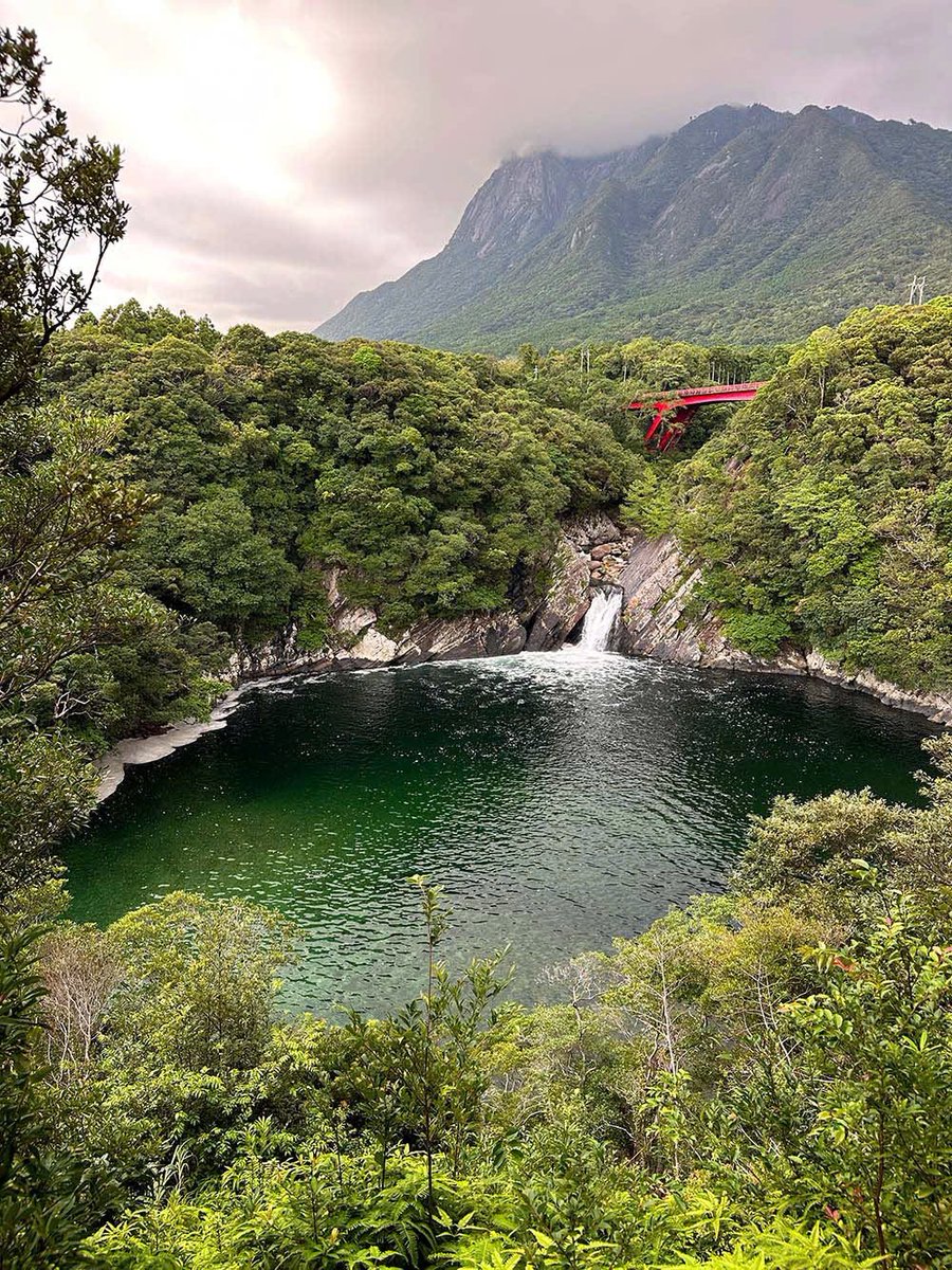 TourJapanTravel's tweet photo. 🌿 YAKUSHIMA – HÒN ĐẢO CỔ TÍCH CỦA NHẬT BẢN 🇯🇵

#Yakushima #Kagoshima #DuLichNhatBan #JapanTravel #TourJapanTravel https://t.co/QsjwIZJdB9