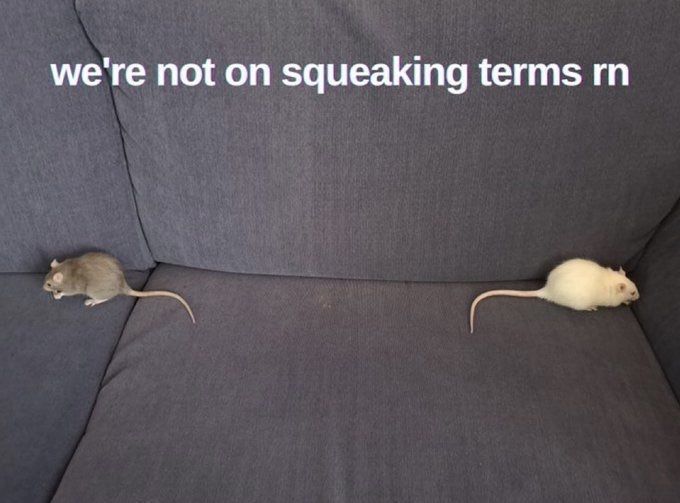 no context memes tweet media