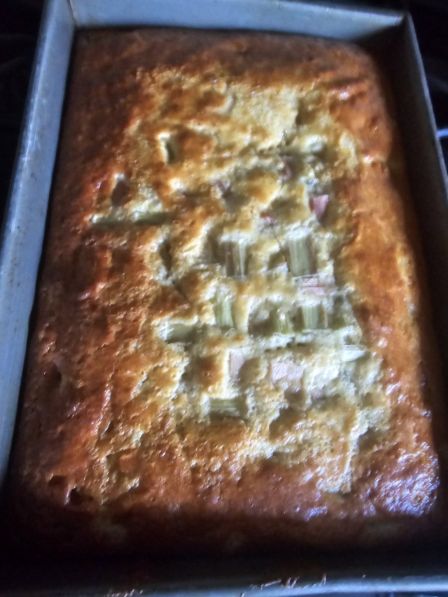 WalterAdamczyk4's tweet photo. I made this rhubarb cake with rhubarbs from my yard @AdamLowisz @PerryALPHA https://t.co/phsLOMv4is