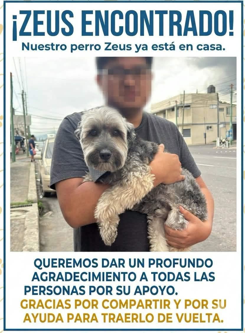 guatexanimales2's tweet photo. Gracias por compartir ya está con su fam https://t.co/Wu1ffDx9PQ