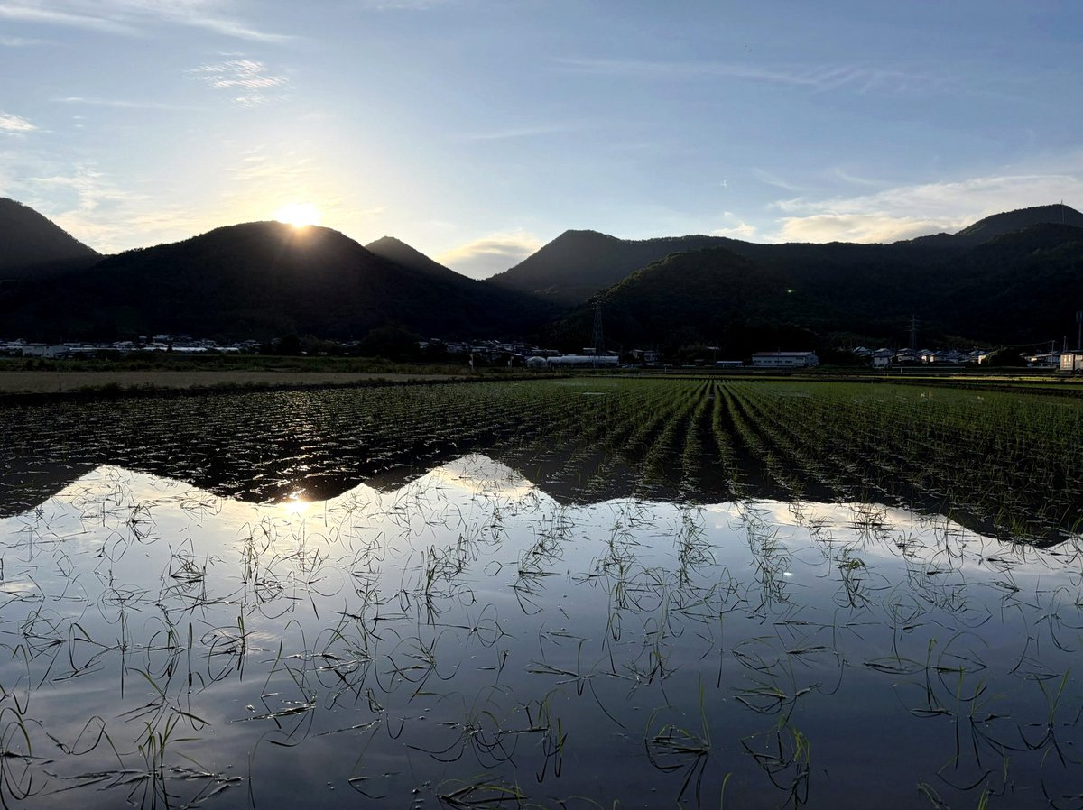 khaled_msouti's tweet photo. マジ富山めっちゃSNSで
立山アピールとか寿司アピールするけど
今日高岡歩いて、マジでシャッター街で震えた
もう立て直せないとこまできてるかもやけど
高岡の廃墟感は凄かった。イオンのせいか。 https://t.co/o3NVKRtaDy