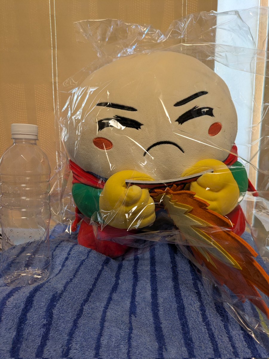 かずちゃん na platformě X: „＃藤丸くんビーム型ぬいぐるみが届きまし