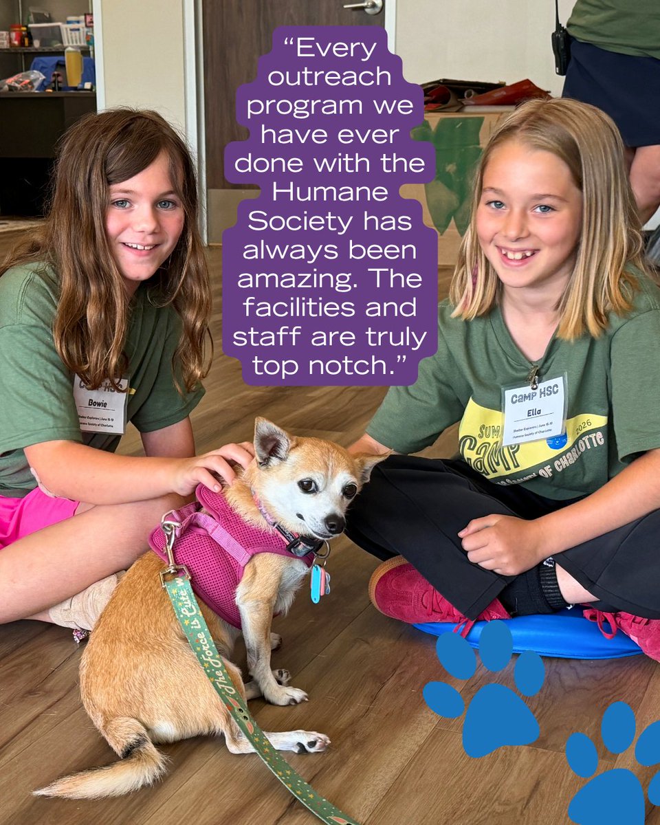 humanecharlotte's tweet photo. What a summer it has already been at HSC! 💙

We are so grateful for the campers who have filled our Animal Resource Center with curiosity, compassion, creativity, and so much love for animals.

And the fun is not over yet! Learn more: https://t.co/pzwiBrVryB https://t.co/5iuvu90vni