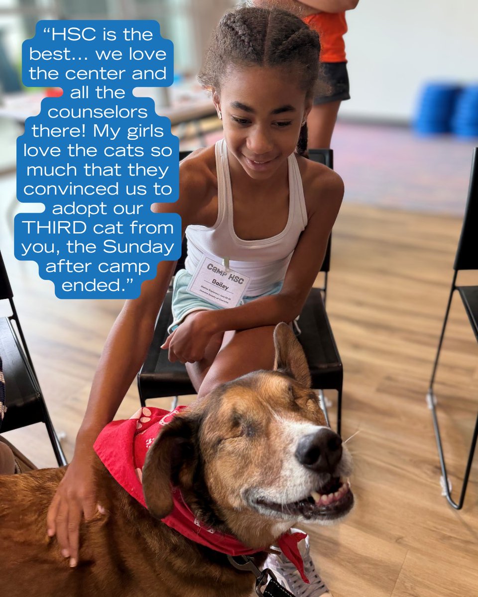 humanecharlotte's tweet photo. What a summer it has already been at HSC! 💙

We are so grateful for the campers who have filled our Animal Resource Center with curiosity, compassion, creativity, and so much love for animals.

And the fun is not over yet! Learn more: https://t.co/pzwiBrVryB https://t.co/5iuvu90vni