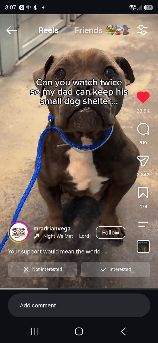 8SarahCohen22's tweet photo. Please help save their shelter. 🙏🙏💜
https://t.co/PxMvjgBAnf https://t.co/jMGUj65ctU