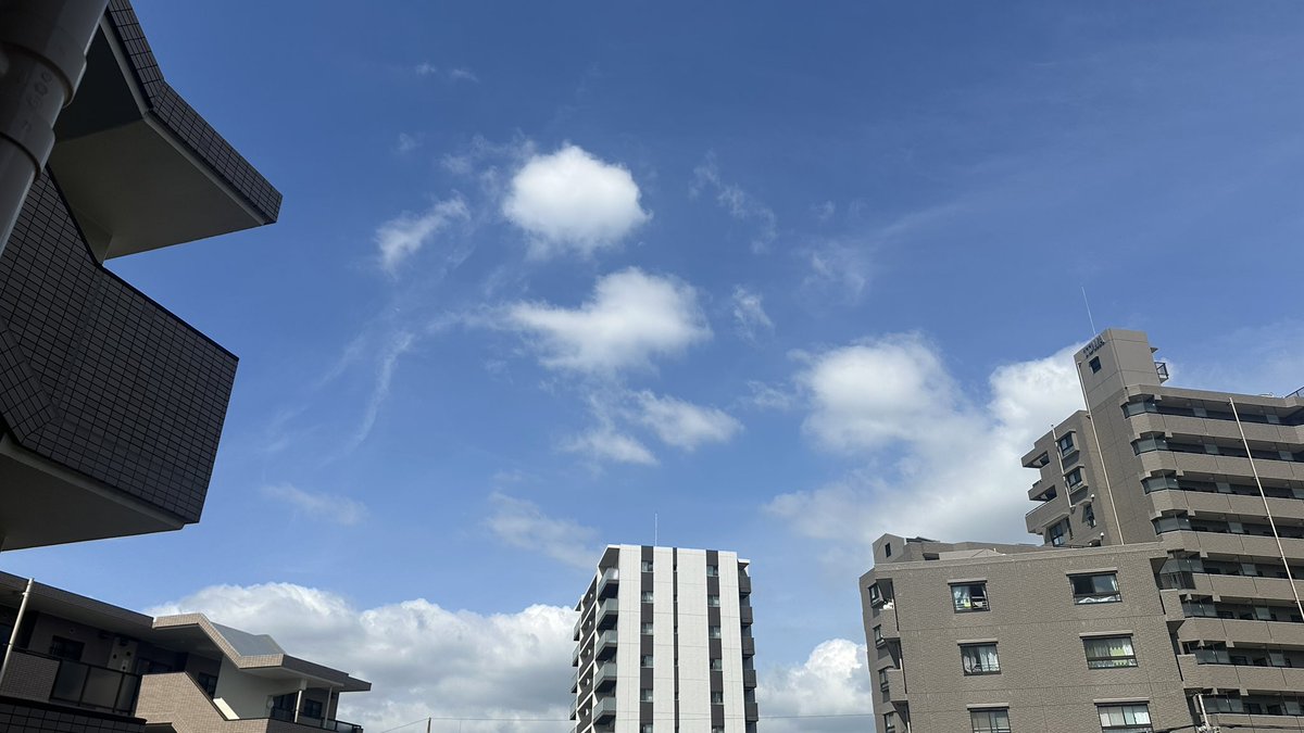 JunPayton's tweet photo. 7月2日に最愛の母を看取り、昨日葬儀が済みました。昨夜は5回裏途中から朝までぐっすり眠り、栗山さん引退試合のチケットは落選する夢を見ました。仕事は明後日から、日常生活は今日から、再び。久しぶりにいい天気。強く生きて行かなきゃね、見ててよ。ひとつひとつ、がんばります。 https://t.co/taHLEWlC92