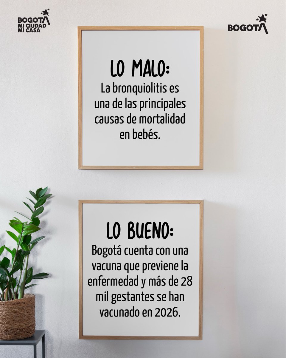 SectorSalud's tweet photo. Siempre son más las buenas noticias.

Aunque enfermedades como el sarampión, el VPH y la fiebre amarilla siguen representando un riesgo, en Bogotá contamos con vacunas seguras y gratuitas que pueden prevenirlas.

Completa tus esquemas y protege tu salud y la de tu familia. https://t.co/0YT8qUEZ1G