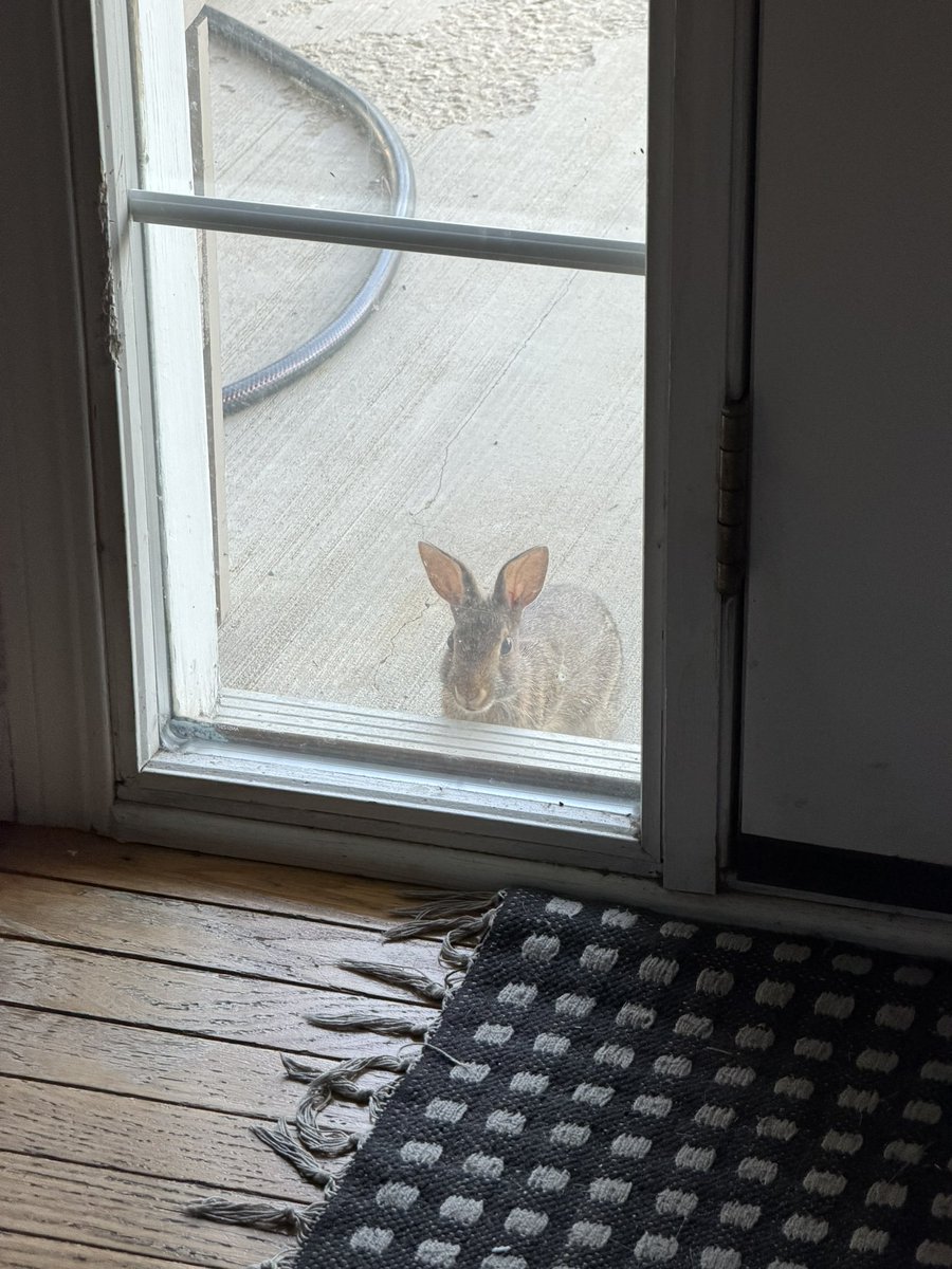Squiiiib's tweet photo. He answered my call https://t.co/PnQG8sY9C7