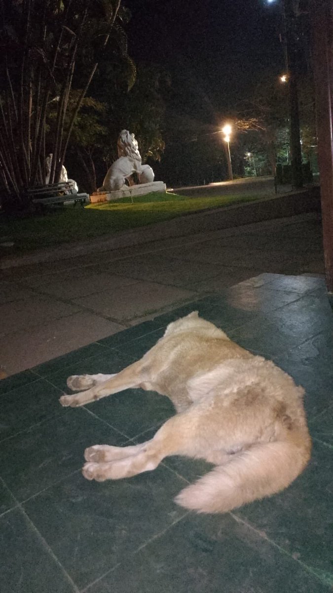 b1gata0's tweet photo. trabalhar, né? porque quem ganha as coisas roubando é só o Messi https://t.co/KgQXuEKwPE