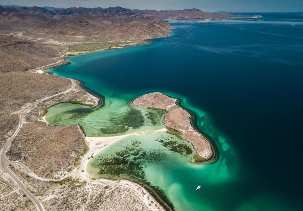 VisitMex's tweet photo. 📍 Bahía Concepción, Mulegé

Hay lugares que simplemente te roban el aliento, y Bahía Concepción es uno de ellos. 💙🌊
Sus aguas cristalinas, playas de arena clara y paisajes inigualables convierten cada visita en una experiencia inolvidable. Desde la icónica Playa El Requesón hasta los rincones naturales de El Coyote, Los Cocos y El Burro, este paraíso sudcaliforniano invita a disfrutar de la tranquilidad, la aventura y la conexión con la naturaleza.

☀️ Ya sea para remar en kayak, acampar bajo un cielo estrellado o simplemente relajarte frente al mar, Bahía Concepción tiene un lugar especial para ti.

Descubre por qué es uno de los tesoros más bellos de Baja California Sur.

—

📍 Bahía Concepción, Mulegé

Some places simply take your breath away, and Bahía Concepción is one of them. 💙🌊
Its crystal-clear waters, light sandy beaches, and extraordinary landscapes make every visit unforgettable. From the iconic El Requesón Beach to the natural beauty of El Coyote, Los Cocos, and El Burro, this paradise in Baja California Sur invites you to enjoy tranquility, adventure, and a true connection with nature.

☀️ Whether you're kayaking, camping beneath a star-filled sky, or simply relaxing by the sea, Bahía Concepción has a special place waiting for you.

Discover why it is one of Baja California Sur’s most beautiful treasures.

#VisitMexico #MéxicoEstáDeModa #MexicoIsAFeeling #BajaCaliforniaSur #Mulegé
