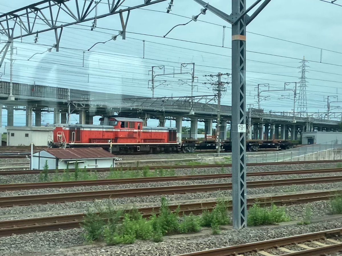 Rabbit_D06's tweet photo. 西の方で用事があるので珍しく明るい時間に東海道線を下っている
なんか知らんやつおったんやが https://t.co/dsN7U73iZL