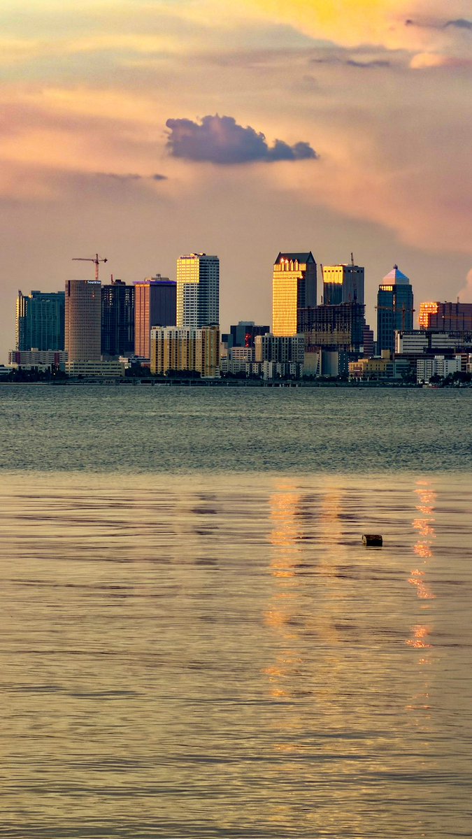 HelloRonUSA's tweet photo. Ended the day with a front-row seat to Tampa's golden hour. Worth every minute. #Ballastpointpark @PaulFox13 https://t.co/Dgb60MVSys