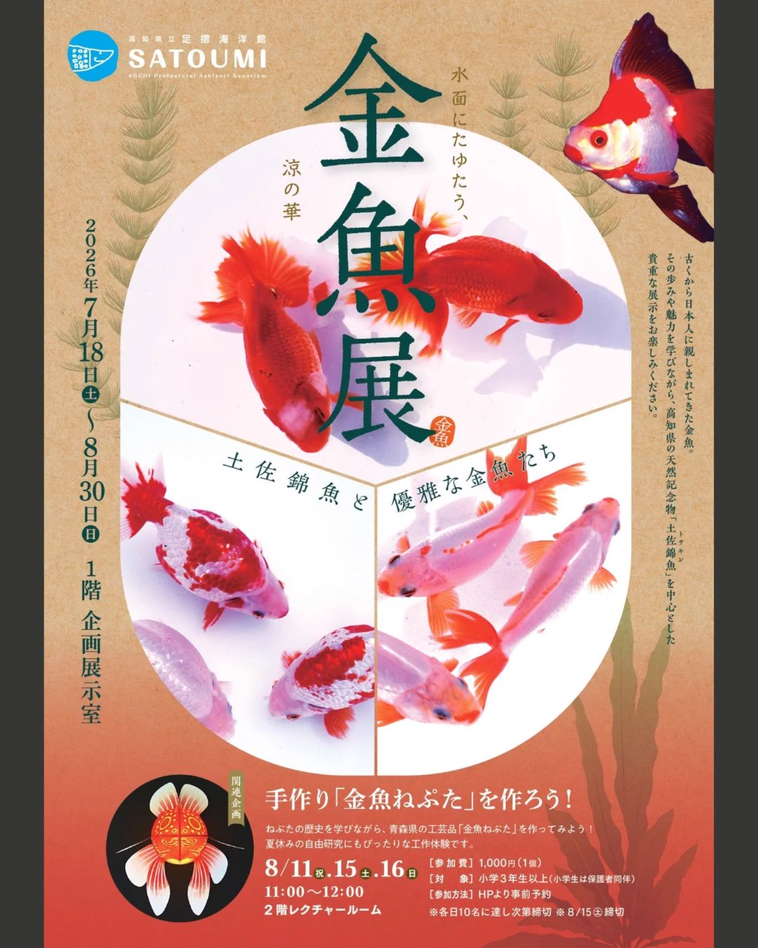 高知県立足摺海洋館SATOUMI【公式】 on X: 