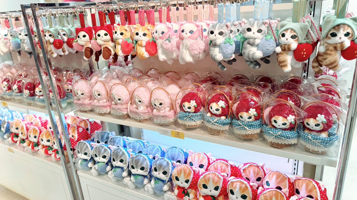 Juice_inc_'s tweet photo. 【POP UP SHOP開催のお知らせ】

『mofusand TOKYO
MERCI STRAWBERRY POP UP SHOP』

京都にて本日より開催🐈🍓

🍓会場
　京都髙島屋 S.C. 7階 催会場

🍓開催期間
　7月8日(水)～7月20日(月)

▽詳細はこちら
　https://t.co/o7HvqlfwkB

▽欠品情報等はこちら
　https://t.co/wJeMrWSxLY

#mofusand #mofusandTOKYO