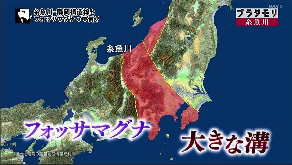 アグネス tweet media