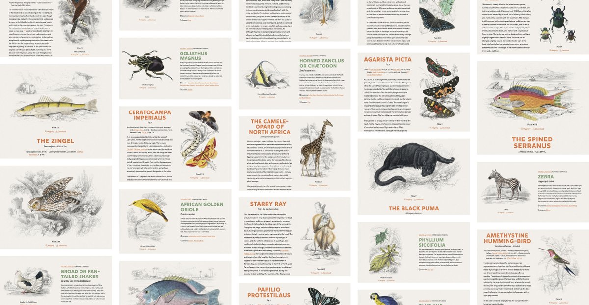 rougeux's tweet photo. New: I spent nine months creating a digital edition of The Naturalist’s Library, William Jardine’s 40-volume 19th-century natural history series. 1,300+ plates restored, 2.4m words, 27 posters, and 1 huge book. https://t.co/7bX8n9dvda