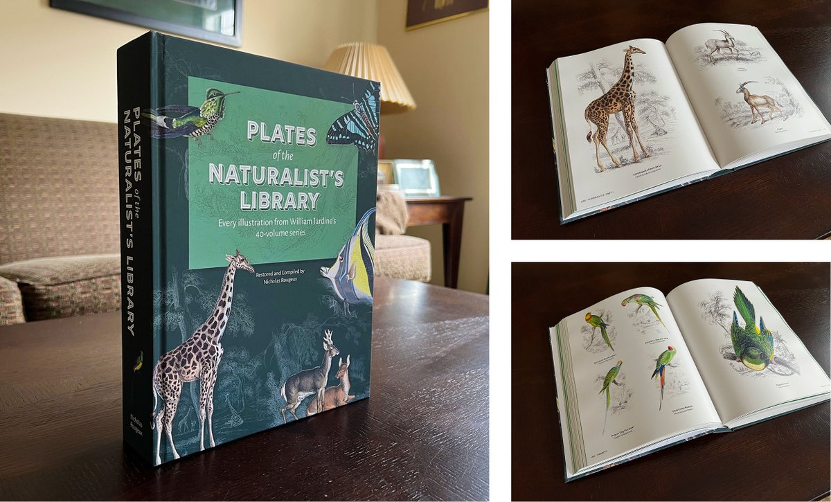 rougeux's tweet photo. New: I spent nine months creating a digital edition of The Naturalist’s Library, William Jardine’s 40-volume 19th-century natural history series. 1,300+ plates restored, 2.4m words, 27 posters, and 1 huge book. https://t.co/7bX8n9dvda