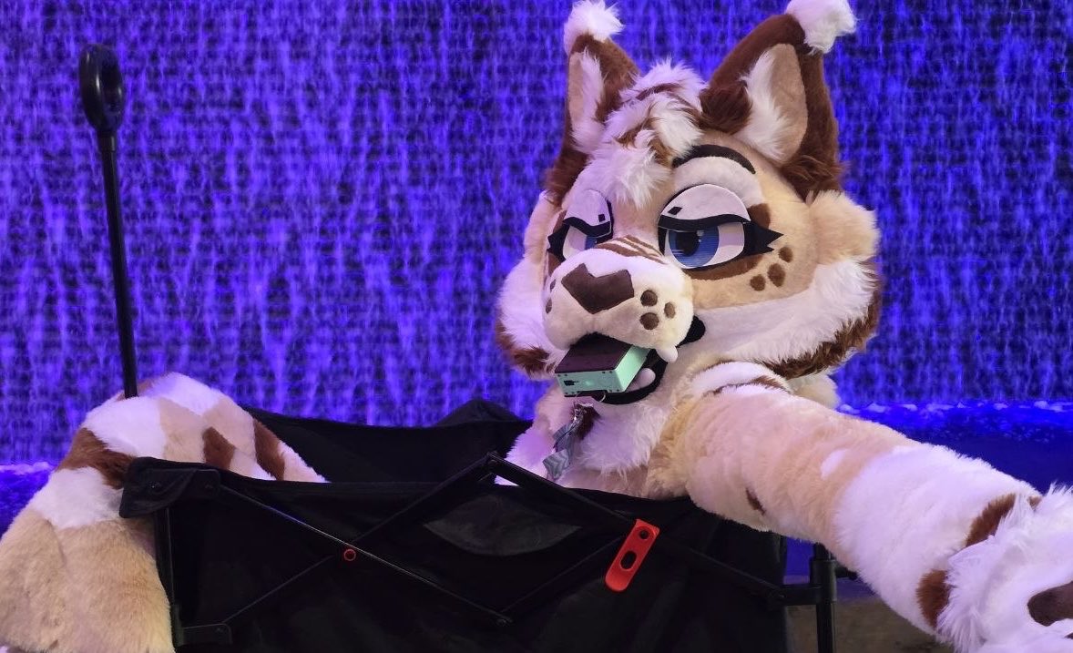 MixiAsmr's tweet photo. Zebra cake cat in your area. https://t.co/kGEuv3Ki50